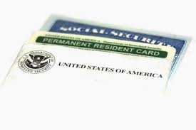 Once you find the category that may fit your situation, click on the link provided to get information on el. U S Citizens Can Petition For Green Cards For More Than One Spouse But Expect Close Inspection New York Daily News