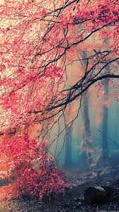 Pin On Amazing Sights Everyone S Board