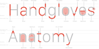 Why San Francisco Font Anatomy Type Anatomy Typography