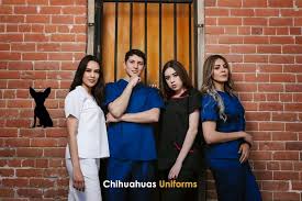 Chihuahuas Uniforms