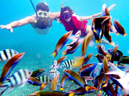Best Part Of Tour Picture Of Laguna Redang Island Resort Pulau Redang Tripadvisor