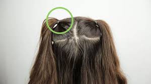 Harry josh pro tools premium oval brush. 3 Ways To Do Space Buns Wikihow