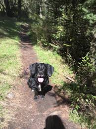 Profile for Tanker Tots