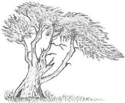 Majestic Tree Drawings Fantasy Tree Drawing Tree Drawing Fantasy Tree