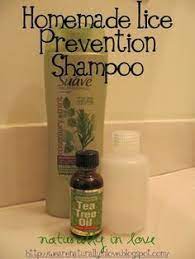 Top 7 Tea Tree Oil Benefits Melaleuca Do It Yourself Recipes Homemade Lice Prevention I Use Sua Tea Tree Oil Benefits Lice Prevention Shampoo Lice Prevention