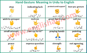 50 Hand Gesture Meaning With Picture In English To Urdu In 2020 Emoji Symbols Meaning All Emoji Emoji Symbols