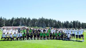 fenerbahçe – admira