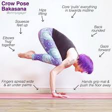 Bakasana > crane pose kakasana > crow pose. Bakasana Y Kakasana