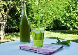 La Recette Du Sirop De Menthe Maison Recette Sirop De Menthe Maison Recette Sirop De Menthe Sirop De Menthe
