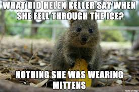 Offensive Helen Keller Joke Quokka Album On Imgur