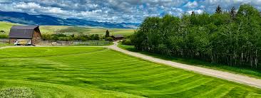 Pest control services bd professional most popular government. Property Care Highridge Landscapes