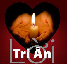 Tuổi trẻ huyện gò dầu đời đời nhớ ơn các anh hùng liệt sĩ, đồng bào đã anh dũng chiến đấu và hy sinh cho sự nghiệp đấu tranh giải phóng dân tộc và. Lá»i Tri An Ká»· Niá»‡m Ngay ThÆ°Æ¡ng Binh Liá»‡t SÄ©