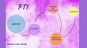 Diagnóstico si este es realizado antes de los tres meses. Purpura Trombocitopenica Inmune Pti Tratamiento De Purpura Trombocitopenica Idiopatica
