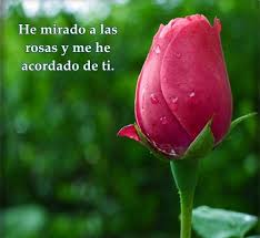Pin On Imagenes Y Frases De Amor