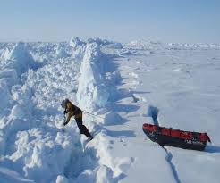 Polar explorer, polar guide, author, public speaker, film production @polarxperience. Interview Dixie Dansercoer On Sledding To Russia From The North Pole Explorersweb