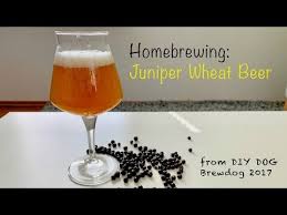 A spiced toffee malt backbone arranged against a tidal wave of us hops. Trying A Imperial Pils Home Brewing Hd1080 Youtube