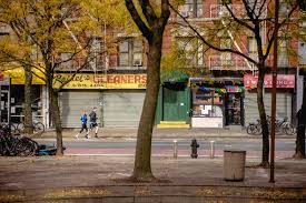 We drove thru on the way to the museum of natural history. The New York City Marathon Was Canceled Runners Ran The Course Anyway The New York Times