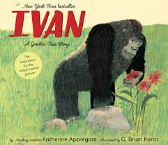 Gilsivan soares da silva, commonly known as ivan, is a brazilian footballer who plays as a goalkeeper for santo andré. Amazon Ivan A Gorilla S True Story Applegate Katherine Karas G Brian Zoos
