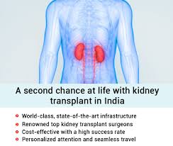 bulgarian kidney transplant ile ilgili görsel sonucu