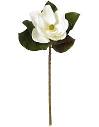 The removable flower branches can be bent and the flowers range from 2 to 4 wide, along with closed buds ready to sprout. Rogue Artificial Magnolia Grand Flower Stem White 66cm Myer
