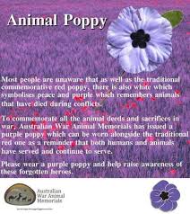 The Animal Or Purple Poppy To Commemorate All The Animal Deeds Sacrifices In War They Deser Remembrance Day Poems Purple Poppies Remembrance Day Activities