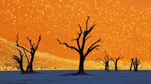 Registrada pelas lentes de frans lanting, a basta saber olhar. Photo Of Namib Naukluft National Park In Namibia Looks Like A Painting Booooooom Create Inspire Community Art Design Music Film Photo Projects