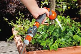 #pregnancy #pregnantbelly #rainbowbaby #skait #catsofastoria #catsofinstagram #thirdtrimester. Skait 1 En Husis Lv