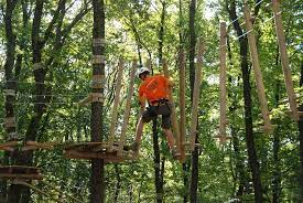 Ils profitent de la beauté d'une forêt et de ses arbres (pas d'investissement dans les pôles) pour offrir des activités en plein air uniques dans un cadre. Adventure Park Near Cluj Review Of Adrenalin Park Casele Micesti Romania Tripadvisor