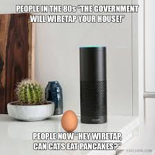 Unfortunately, giving cats spicy foods can potentially make them seriously ill. Hey Google Hey Siri Hey Alexa Conspiracymemes