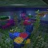 With this mod installed, we will be able to capture animals and domesticate them. 1
