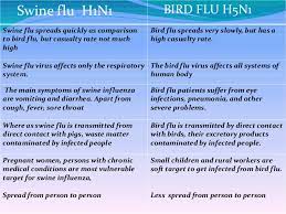 Swine Flu