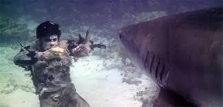 Image result for zombie versus shark