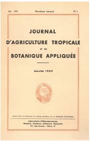 Image result for Aristida rhiniochloa