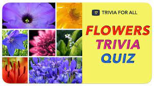 Flowers Trivia Quiz Guess The Flower Youtube