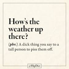 33 3k Likes 634 Comments Hipdict Definition By You Hipdict On Instagram What Is Your Definition Hipdic Funny Words Sarcastic Words Funny Definition