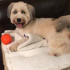 Jeff Goldblum can't help but get sentimental with his wife, Emilie,