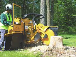Maybe you would like to learn more about one of these? Northeast Ohio Tree Service Company Eastlake Tree Service Company