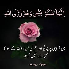 We did not find results for: Surah Yusuf Ayat No 86 Moeez S Thoughts Facebook