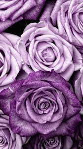 Love Smart Boy In 2020 Purple Flowers Wallpaper Floral Wallpaper Iphone Flower Wallpaper