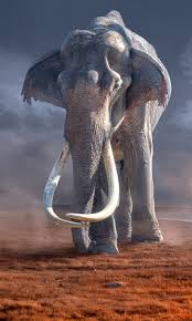 Dotmaison is an independent online emporium filled with a unique selection of breathtaking homewares specially selected by us to help you revitalise your home. Animal Elephant Mobile Abyss