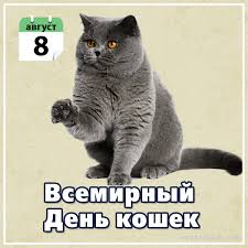 Сегодня, 8 августа 2021 года, в мире отмечают несколько десятков самых разных праздников и памятных дат. Avgust Archives Kartinki Otkrytki Pozdravleniya