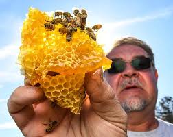 Beekeeper in Pickens enjoying agribusiness