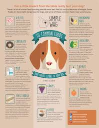 Have A Pet Here S A List Of 10 Common Foods That Are Poisonous For Babies Toxic Foods For Dogs Toxic Foods Dog Food Recipes