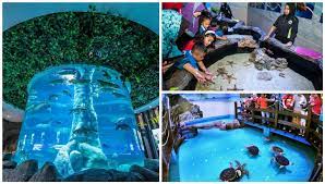 Zoo melaka merupakan zoo kedua terbesar di malaysia dan menjadi habitat kepada pelbagai spesis haiwan. 11 Tempat Tarikan Terbaru Di Melaka Sesuai Untuk Seisi Keluarga