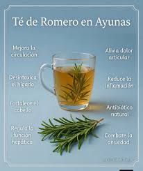 🌿☕ Té de Romero en Ayunas: Tradición Natural para el Bienestar El romero  es una de las plantas aromáticas más valoradas en la medicina natural.  Desde hace siglos se ha utilizado por