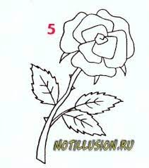 Se consideră că trandafirii sunt originari din asia, dar cresc și în europa, africa de nord și america de nord. Ce Frumos SÄƒ Desenezi Un Trandafir Cu Un Creion Pas Cu Pas Cum SÄƒ Desenezi Un Trandafir Cu Un Creion Pentru IncepÄƒtori
