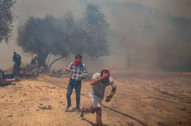 Osha and noaa are working together on a public education effort aimed at improving the way. Los Incendios Asolan Grecia Y Turquia Todo Lo Que Tenia Se Ha Quemado Por Completo Internacional
