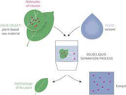 Plant Extraction Berkem Extraction Vegetale