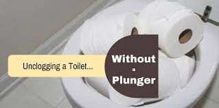 Here are the steps needed to unclog your toilet with bleach: Clogged Toilet Without Plunger Www Macj Com Br