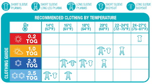 Enamoring Temperature Guide What To Wear 2019